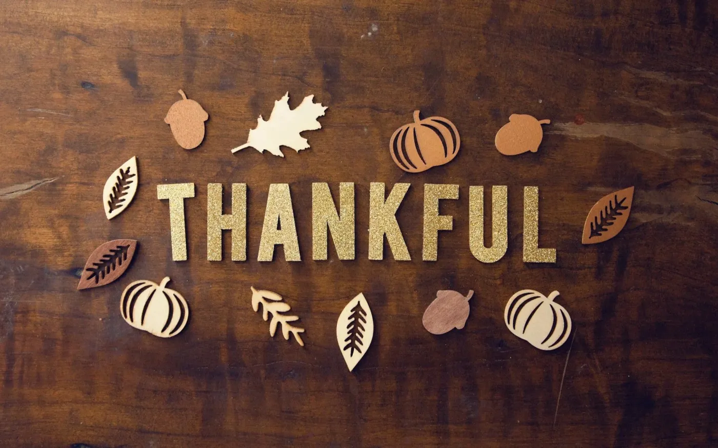 November 2025 | Monthly Newsletter