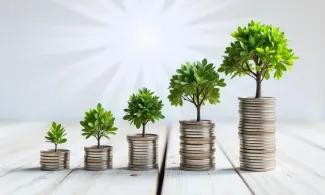 A stack of coins with a small tree growing from the top, symbolizing growth and financial investment.